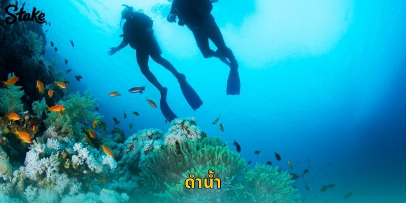 ดำน้ำ Stake เดิมพันกีฬาใต้น้ำสุดพิเศษ 74 ดำน้ำ Stake เดิมพันกีฬาใต้น้ำสุดพิเศษ