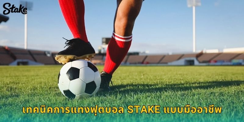 ฟุตบอล Stake ครบทุกลีกดังทั่วโลก ราคาดีสุด 3 เทคนิคการแทงฟุตบอล Stake แบบมืออาชีพ