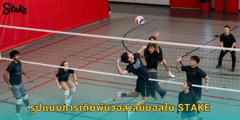 วอลเลย์บอล Stake เดิมพันกีฬาในร่มสุดมันส์ 2 รูปแบบการเดิมพันวอลเลย์บอลใน Stake